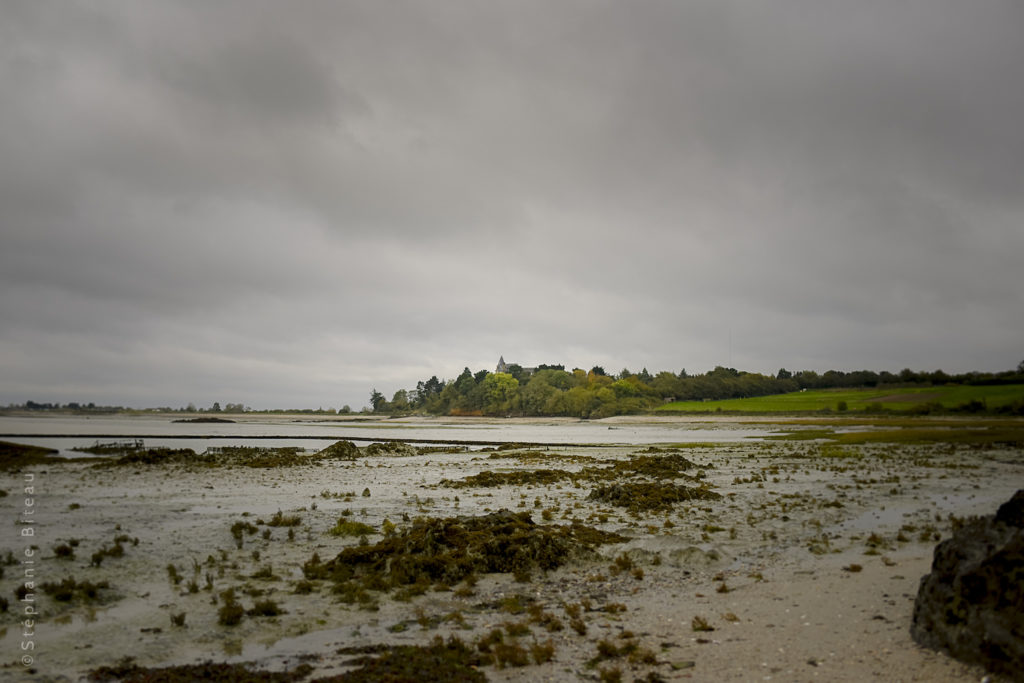 … Aime les maisons familiales, surtout en bord de mer – Le coquillage et l’héritage Roellinger