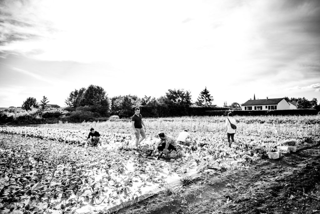 … Aime les radis aux beurres … Et Guillaume Foucault chez Loic au Toya