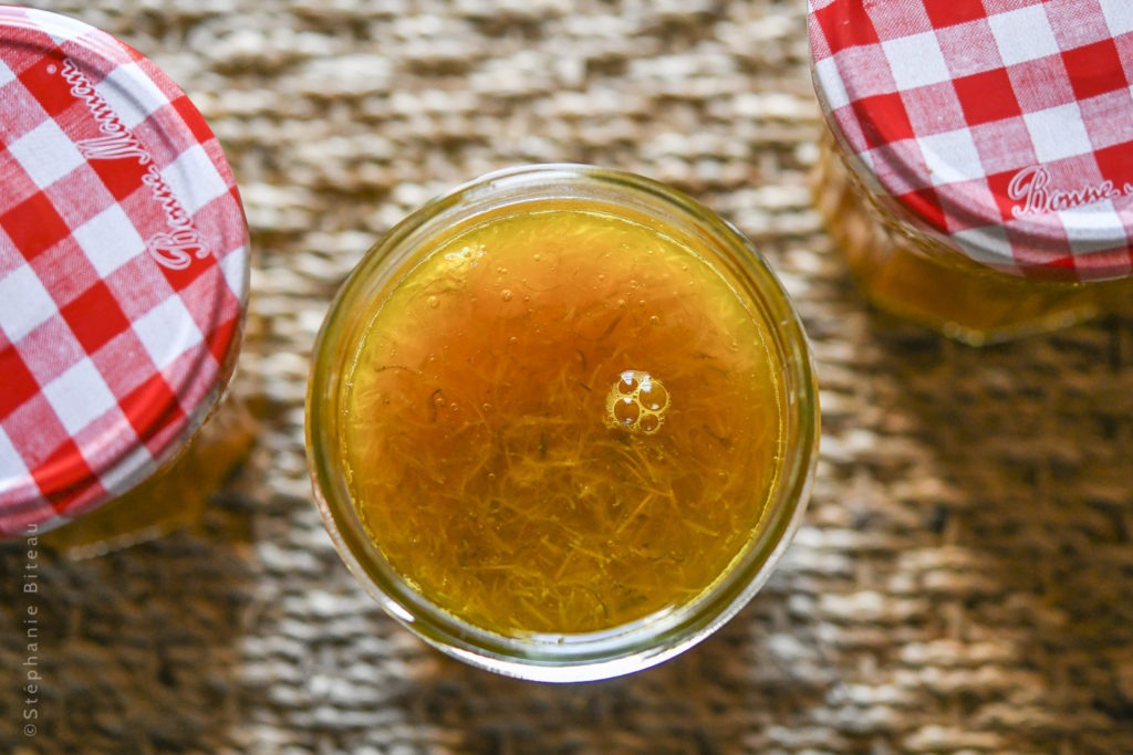 … Aime cuisiner les fleurs sauvages – Gelée aux pissenlits